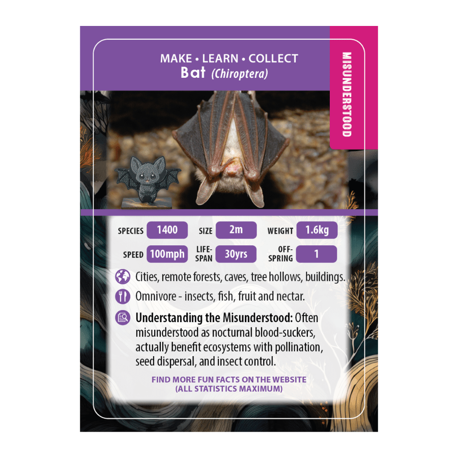 Bat Fact file