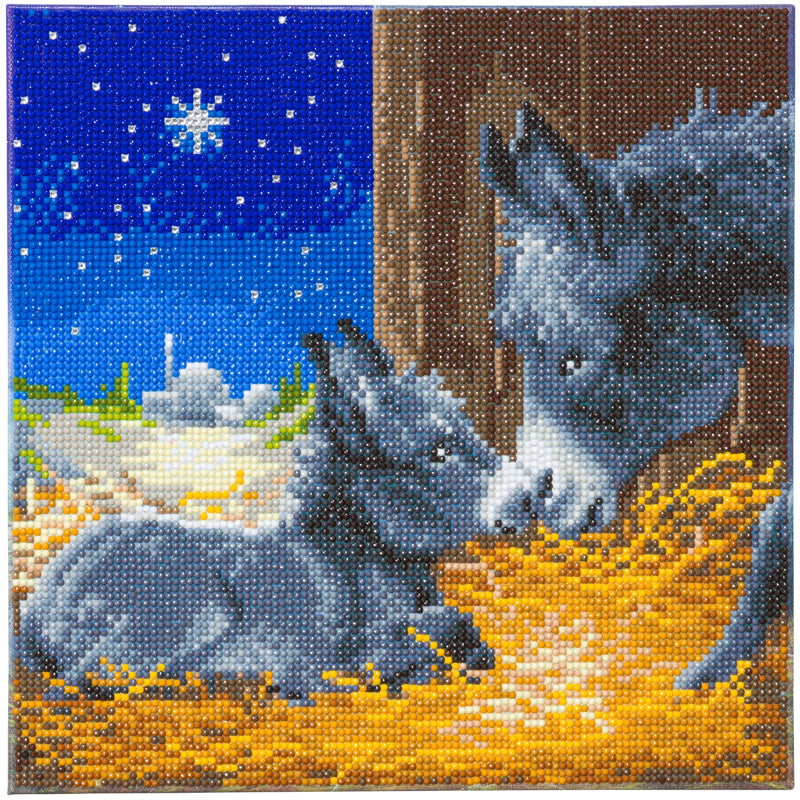 completed Little Donkey Crystal Art 30cm diamond painting canvas, featuring donkey and foal in a stable, the floor strewn with hay