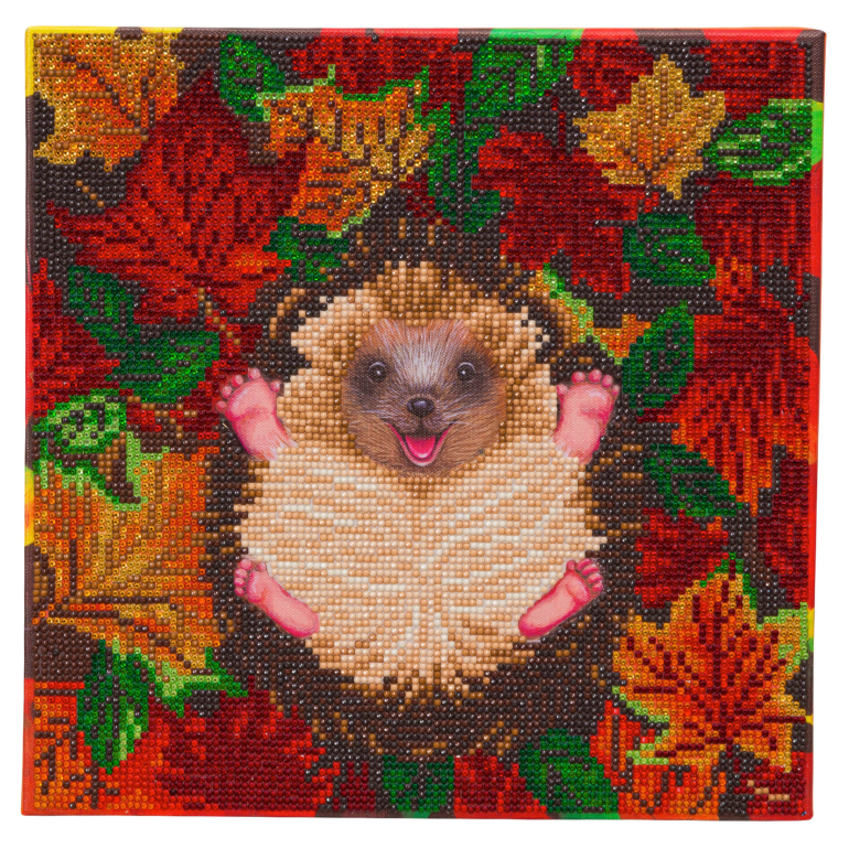 completed Autumn Hedgehog Crystal Art 30 canvas, featuring hedgehog in colourful autumnal leaves