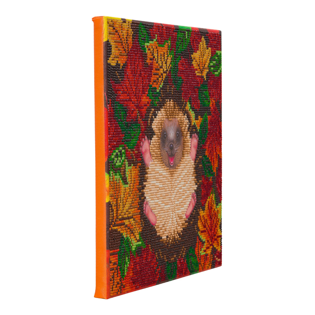 Side view of Autumn Hedgehog Crystal Art 30cm canvas, to show that design comes ready mounted