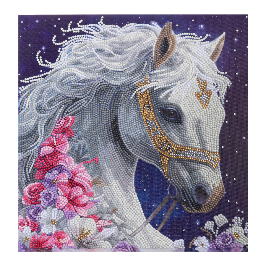 White horse with flowers against a night sky canvas kit front view