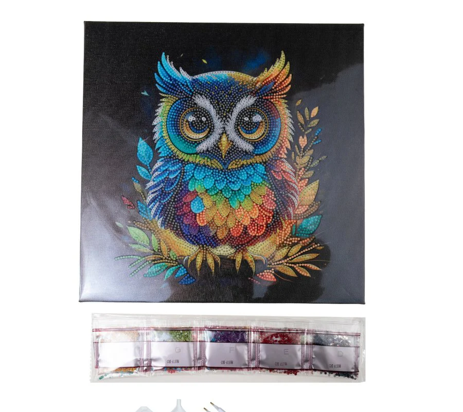 Owl Crystal Art 30cm Canvas Kit packaging