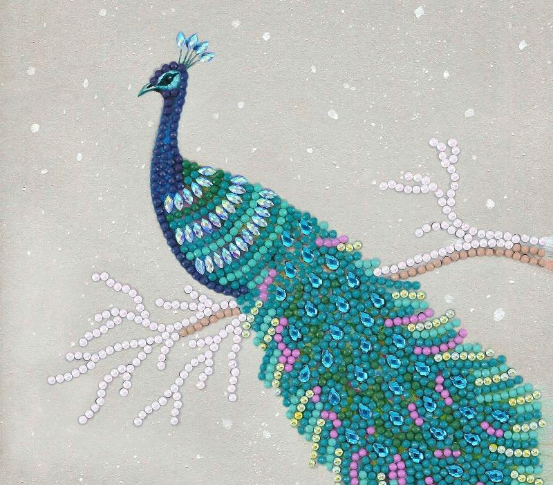 completed craft buddy Pretty Peacock Crystal Art Greetings Card
