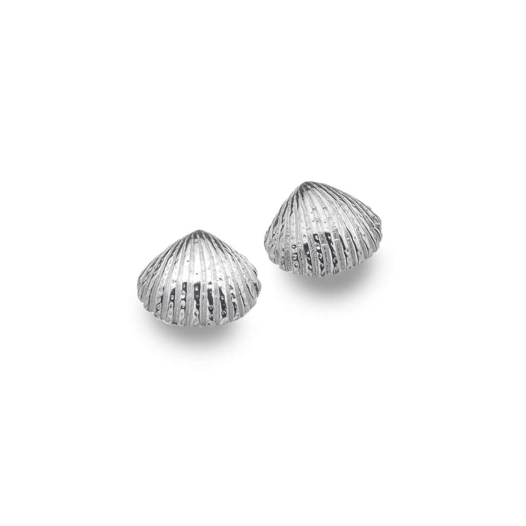 Silver Origins Cockle Shell Stud Earrings